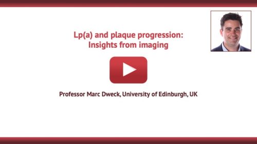 Lp(a) and plaque progression: Insights from imaging