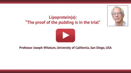 Lipoprotein(a): The proof of the pudding is in the trial