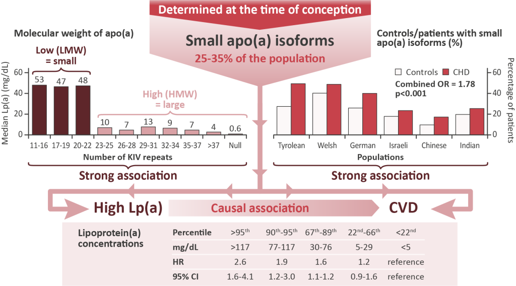 Mendelian randomisation approach demonstrating a causal association between Lp(a) levels and CVD