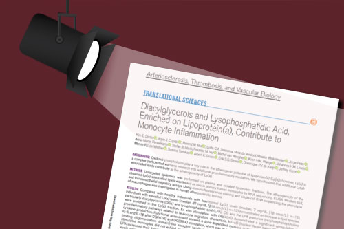 Spotlight on Lp(a) atherogenic mechanisms