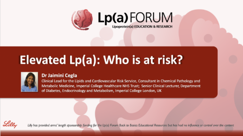 Back to Basics 2nd Slide Deck image