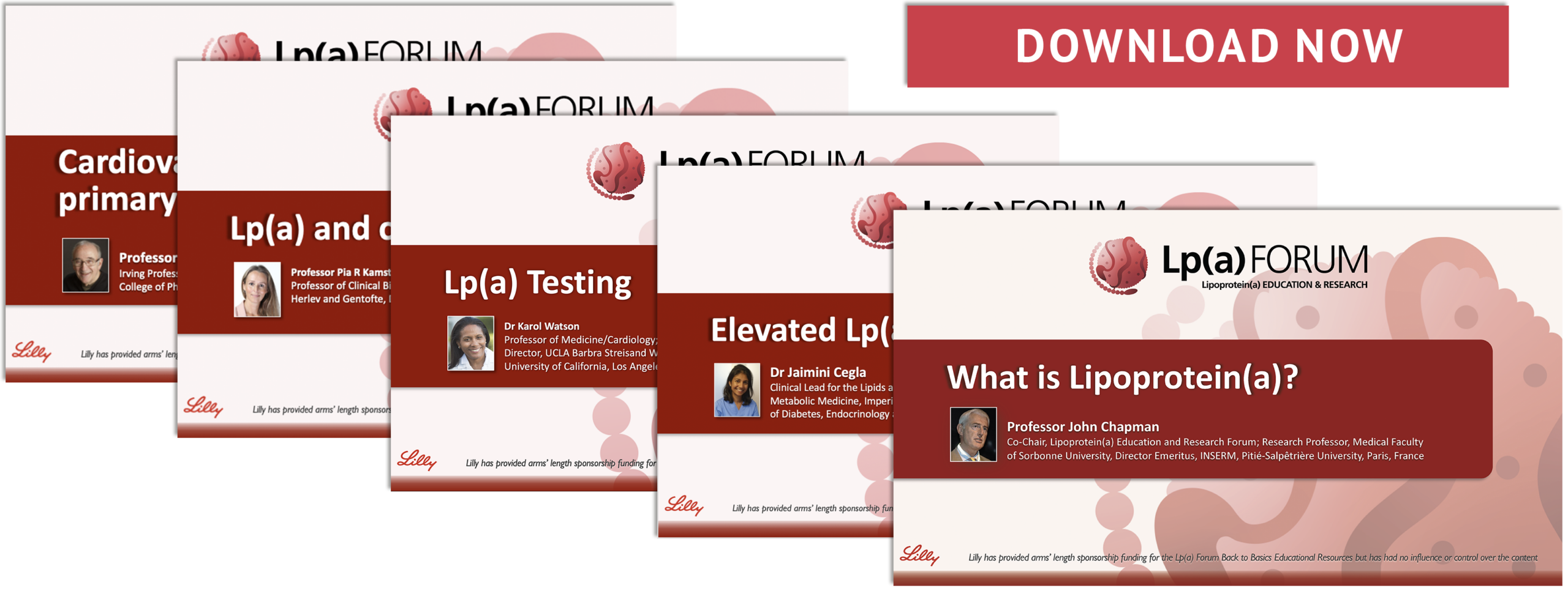 Download Back to Basics slide decks